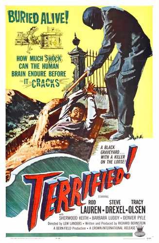 terrified  01 film star poster A4 Photo Print