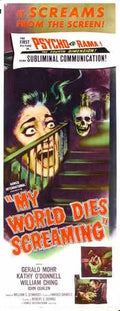 terror in haunted house  04 film star poster A4 Photo Print