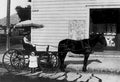 texas outlaw buggy Vintage world war A4 Photo Print