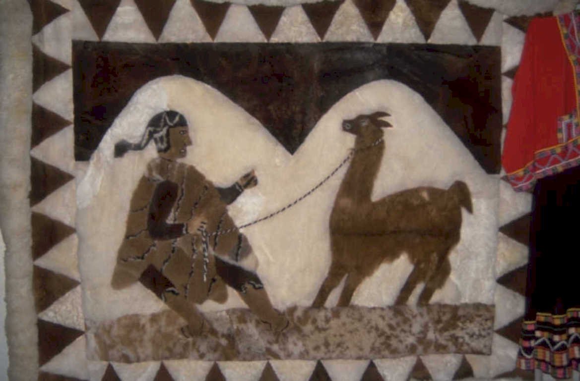 textile llama andean 1980s 1990s A4 Photo Print