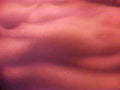 textured fabric clouds1980s 1990s A4 Photo Print