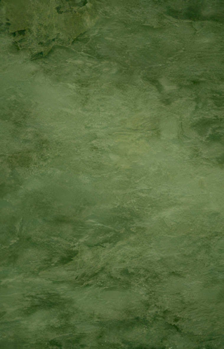 textured olive wall Vintage A4 Photo Print