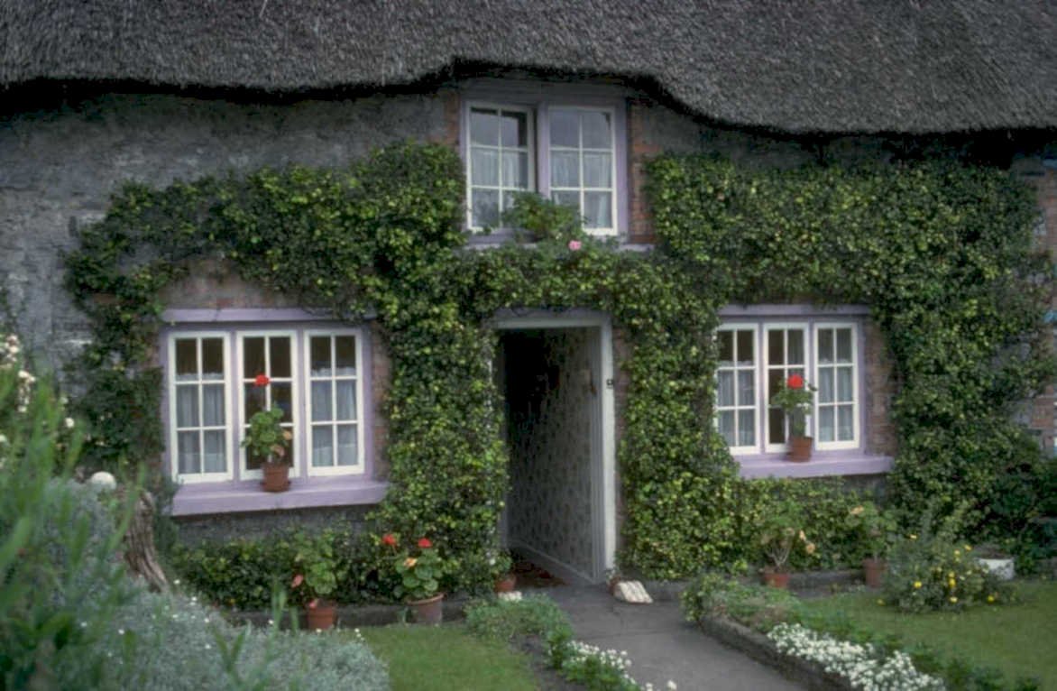 thatched cottage devon 1980s 1990s A4 Photo Print