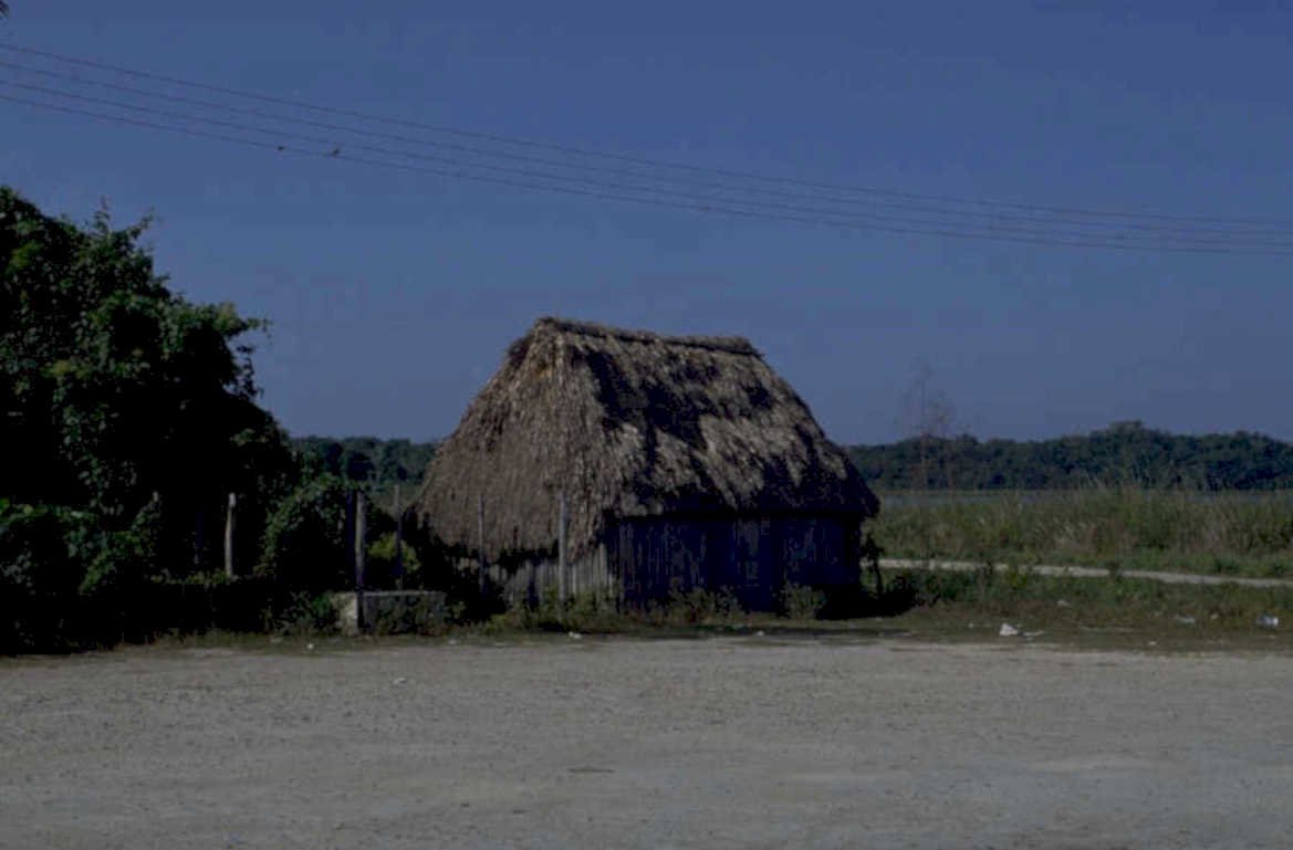 thatched hut guatemala 1980s 1990s A4 Photo Print