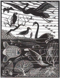the 5th day of the creation mc escher 1926 A4 Photo Print