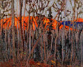 tho Algonquin Park Art A4 Photo Print