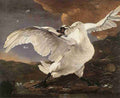 thr swan Art A4 Photo Print