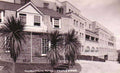 thurlesstone hotel palmVintage 1880s 1900s A4 Photo Print