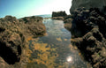 tide pool rocks Vintage A4 Photo Print