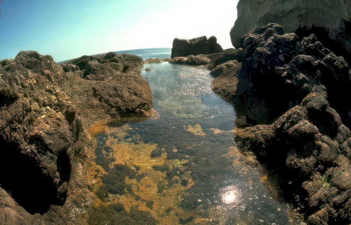 tide pool rocks Vintage A4 Photo Print