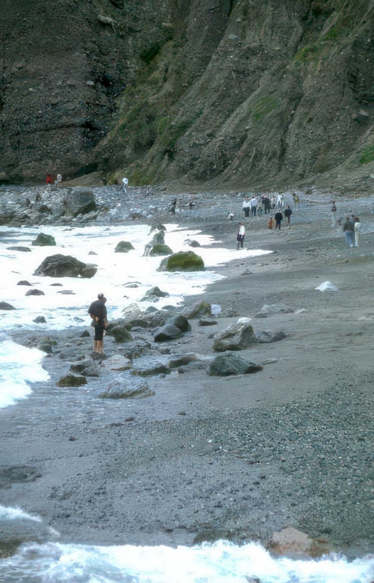 tide pools cannonbeach Vintage A4 Photo Print