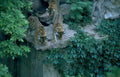 tigers cliffside foliage Vintage A4 Photo Print