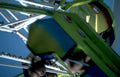 tilt whirl ride 1 GIGA 2