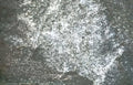 tissue sample histology Vintage A4 Photo Print