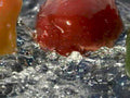 tomato water kitchen1980s 1990s A4 Photo Print