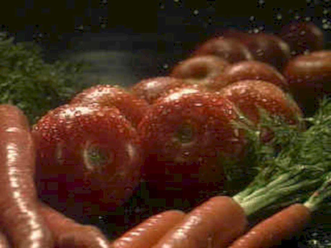 tomatoes carrots dill1980s 1990s A4 Photo Print