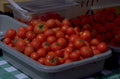 tomatoes tray tablecloth 1980s 1990s A4 Photo Print