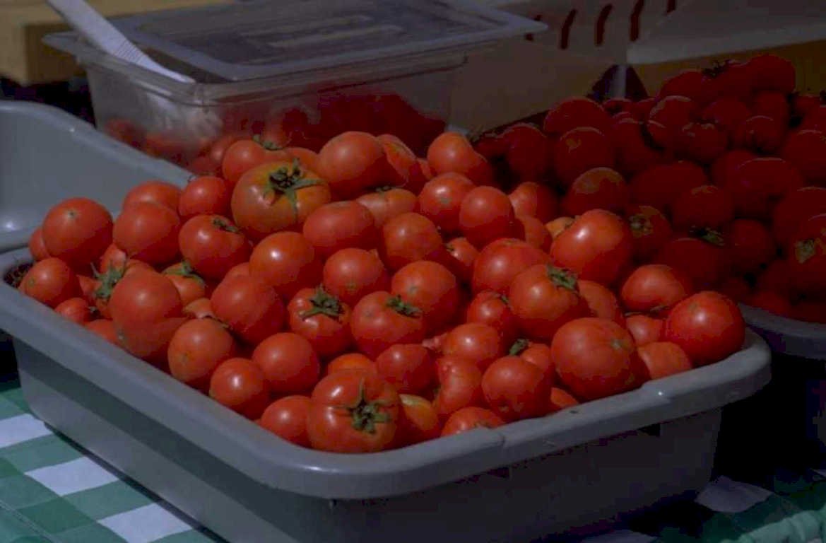 tomatoes tray tablecloth 1980s 1990s A4 Photo Print
