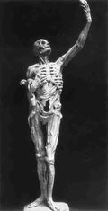 tomb ren Art A4 Photo Print