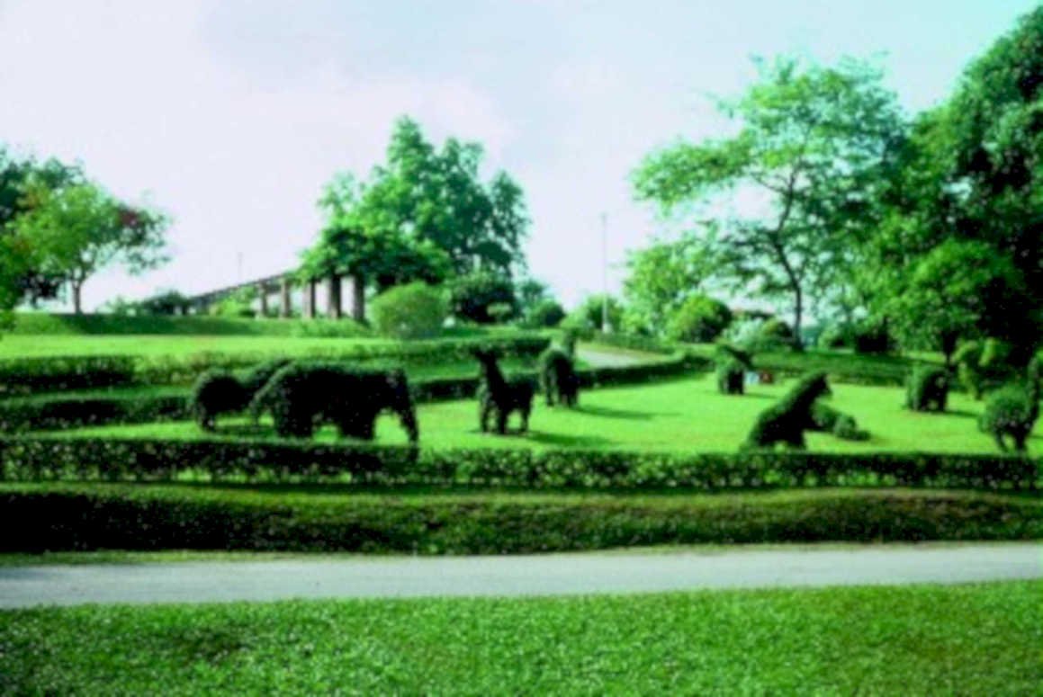 topiary garden chiang1980s 1990s A4 Photo Print