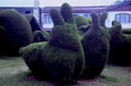 topiary rabbits garden1980s 1990s A4 Photo Print