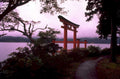 torii gate kawaguchiko 1980s 1990s A4 Photo Print