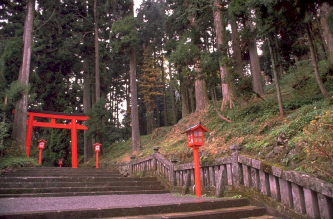 torii gate shrine 1980s 1990s A4 Photo Print