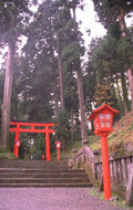torii gate temple 1980s 1990s A4 Photo Print