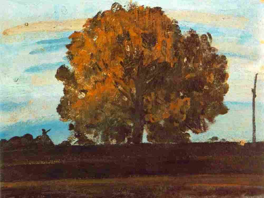 torn Great Tree at Martely Art A4 Photo Print