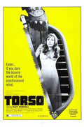 torso  01 film star poster A4 Photo Print