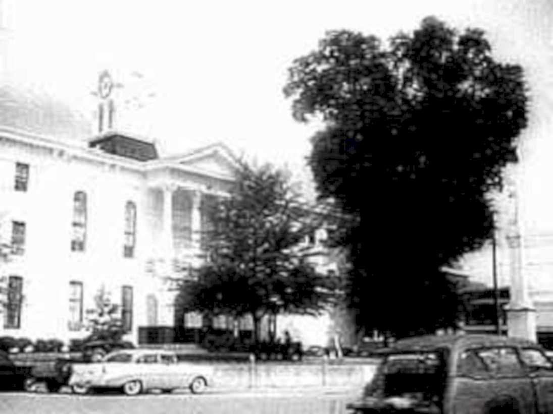 town hall clocktower1980s 1990s A4 Photo Print