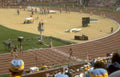 track field race Vintage A4 Photo Print