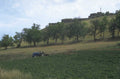 tractor farmland castle 1980s 1990s A4 Photo Print