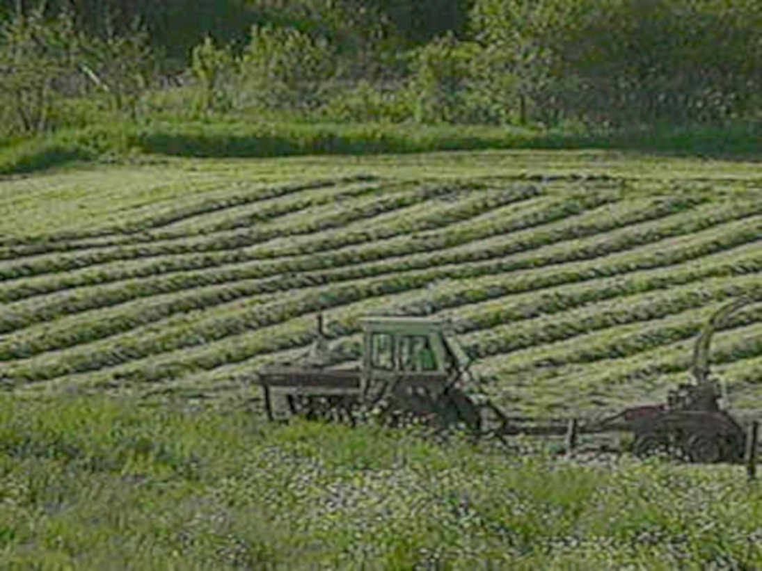 tractor hay baler1980s 1990s A4 Photo Print