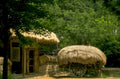 traditional houses forest 1980s 1990s A4 Photo Print