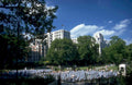 trafalgar square chairs 1980s 1990s A4 Photo Print