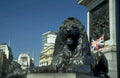 trafalgar square lion 1980s 1990s A4 Photo Print
