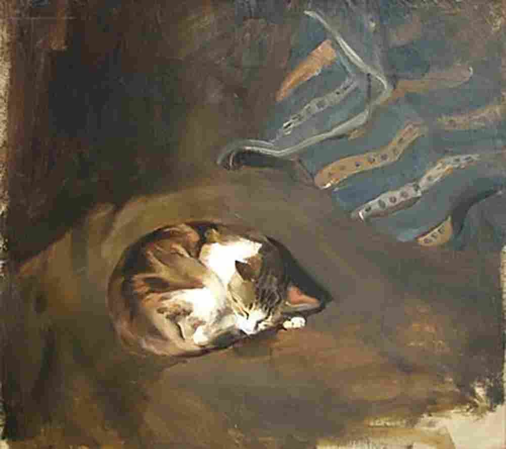 traud paul sleeping cat Art A4 Photo Print
