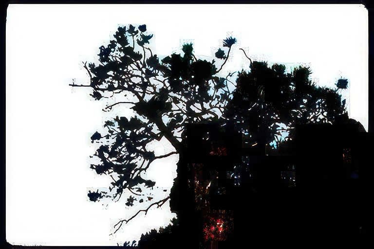 tree sky night Vintage A4 Photo Print