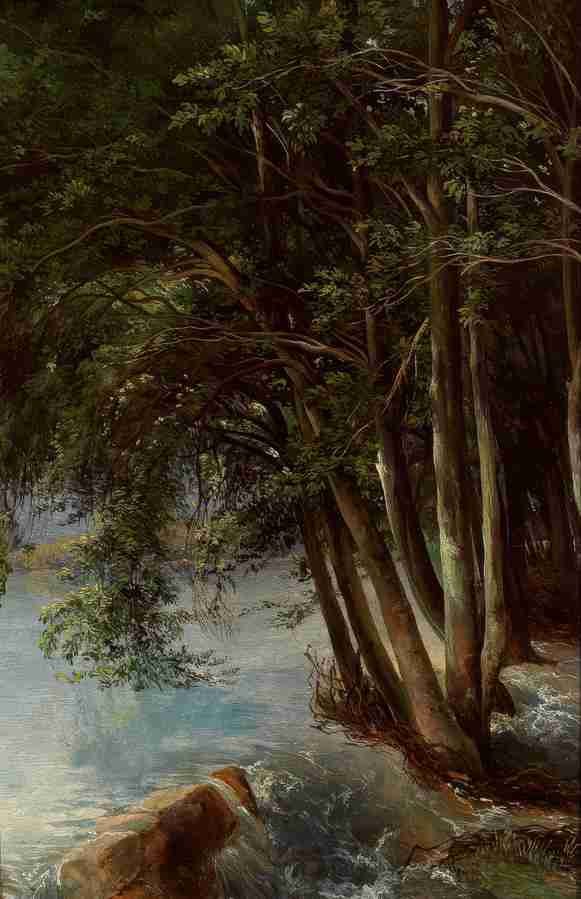 treebank Art A4 Photo Print