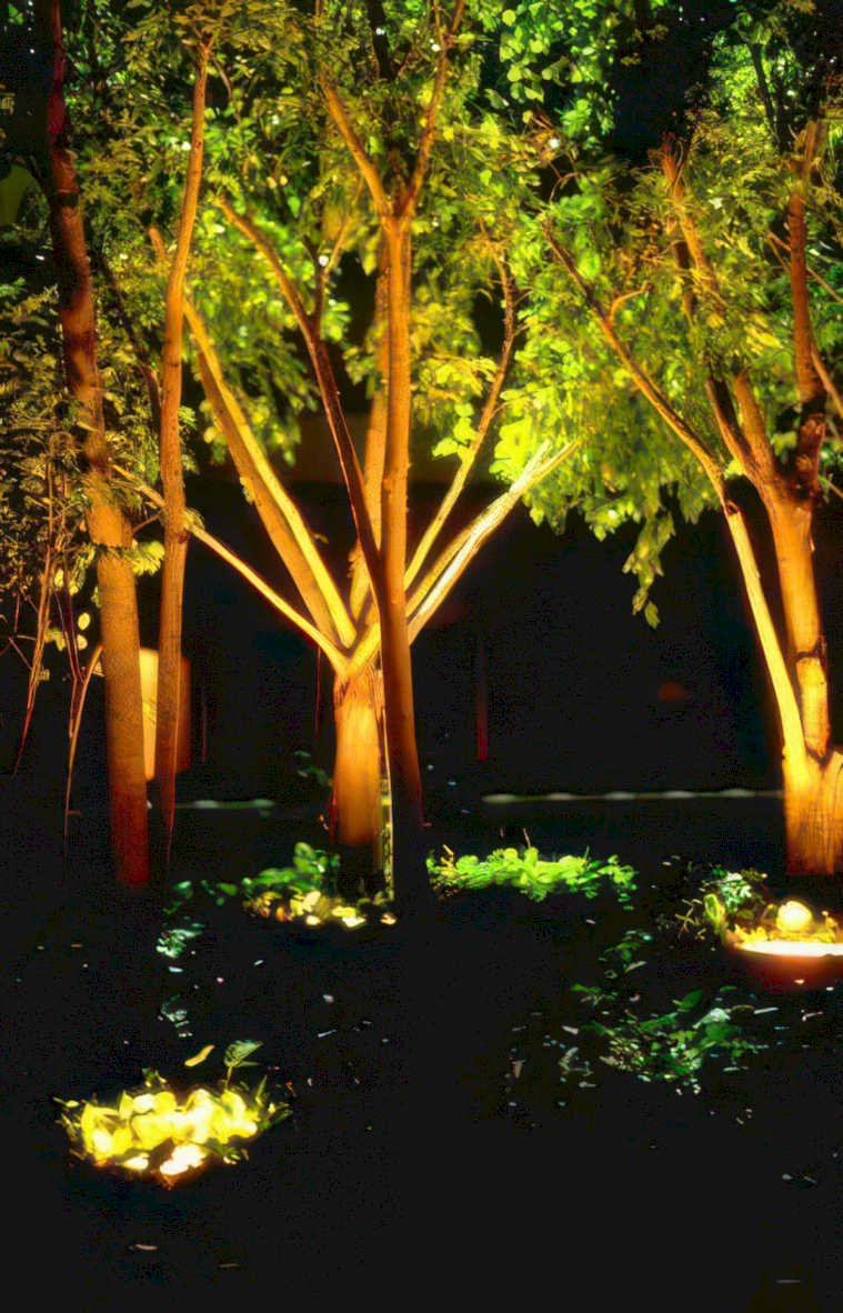 trees lighting garden Vintage A4 Photo Print