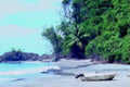 tropical beach boat1980s 1990s A4 Photo Print