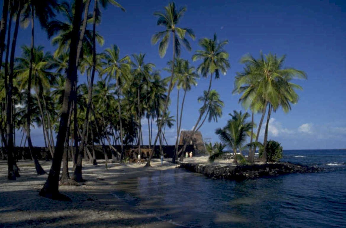 tropical beach hawaii 1980s 1990s A4 Photo Print