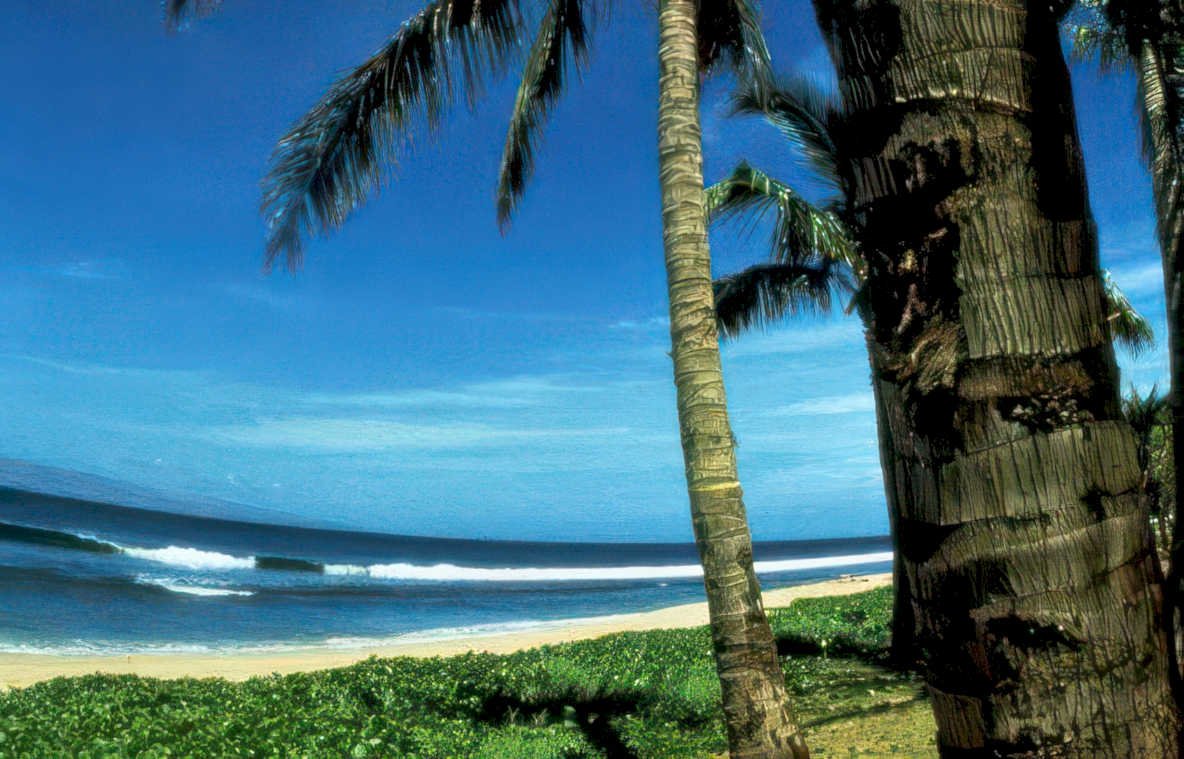 tropical beach hawaii Vintage A4 Photo Print