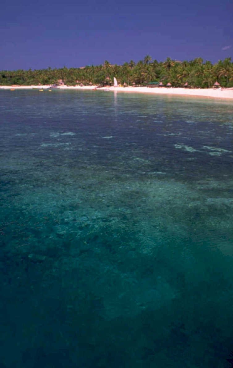 tropical beach maldives 1980s 1990s A4 Photo Print
