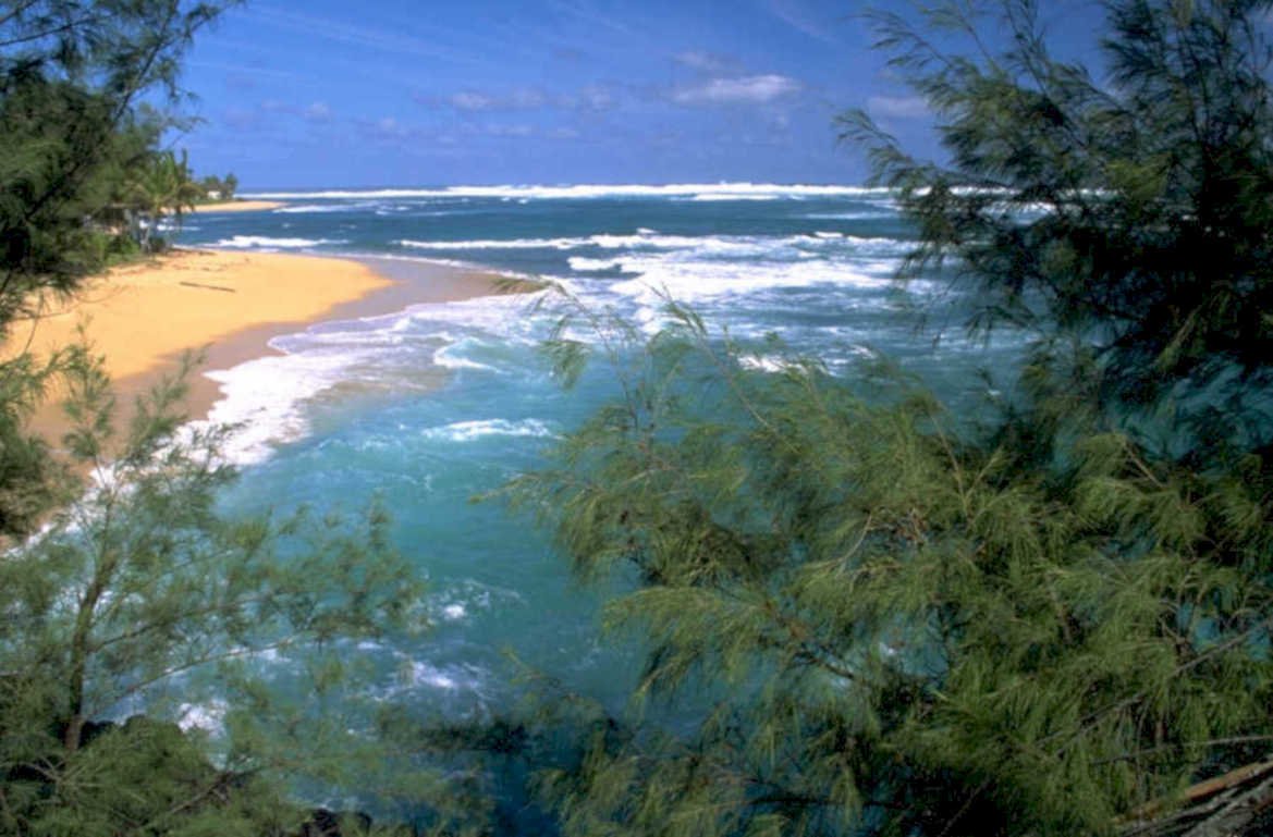 tropical beach oahu 1980s 1990s A4 Photo Print