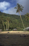 tropical beach scene 1 1980s 1990s A4 Photo Print