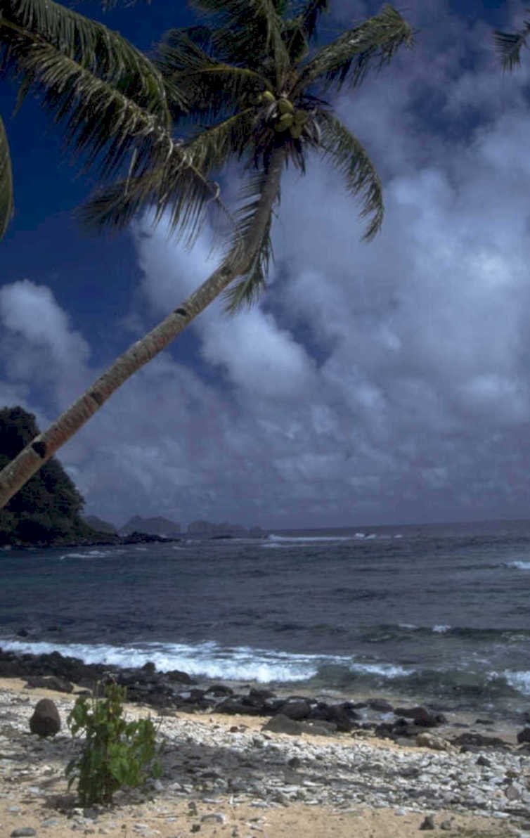 tropical beach scene 1980s 1990s A4 Photo Print 42