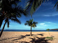tropical beach scene 21980s 1990s A4 Photo Print