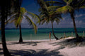 tropical beach scene 3 1980s 1990s A4 Photo Print